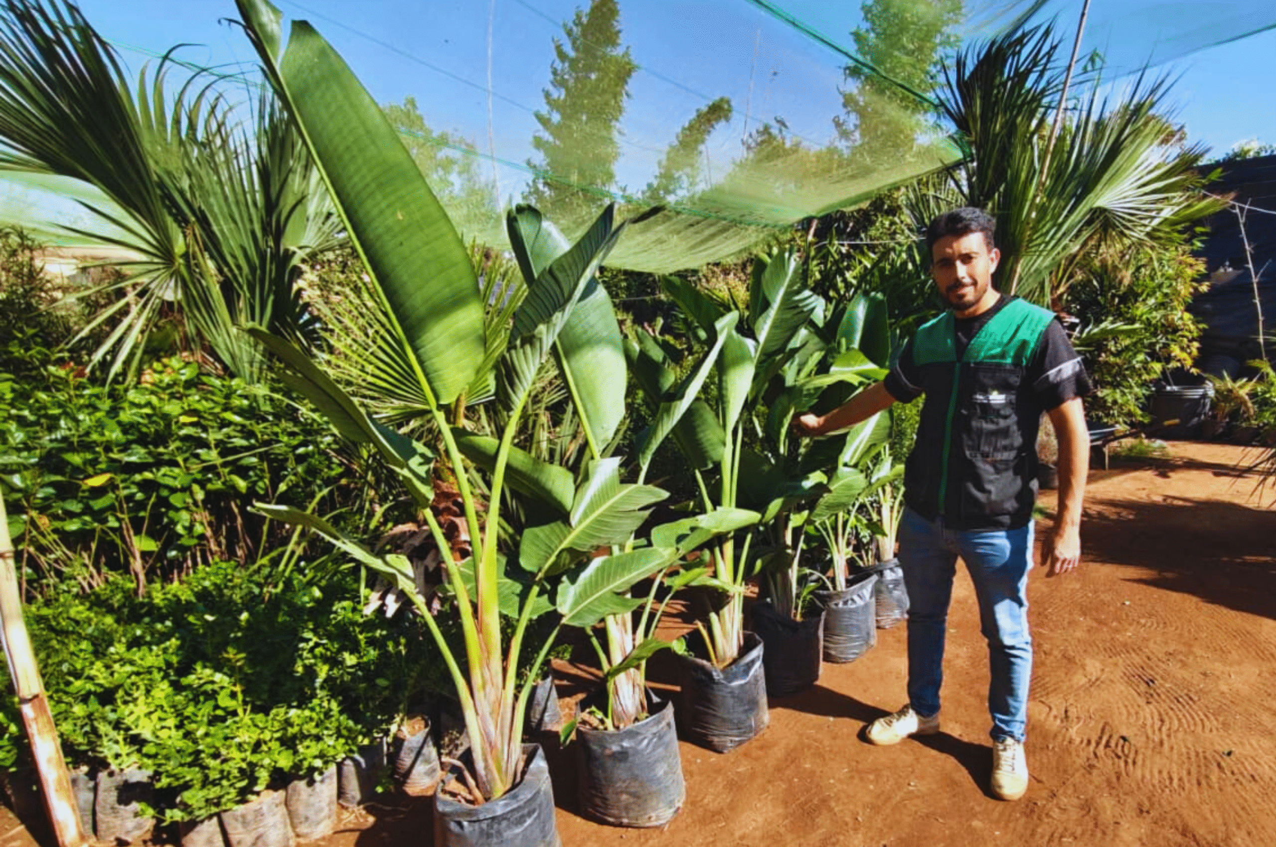 Contact Jardin Casablanca – Imaichvert